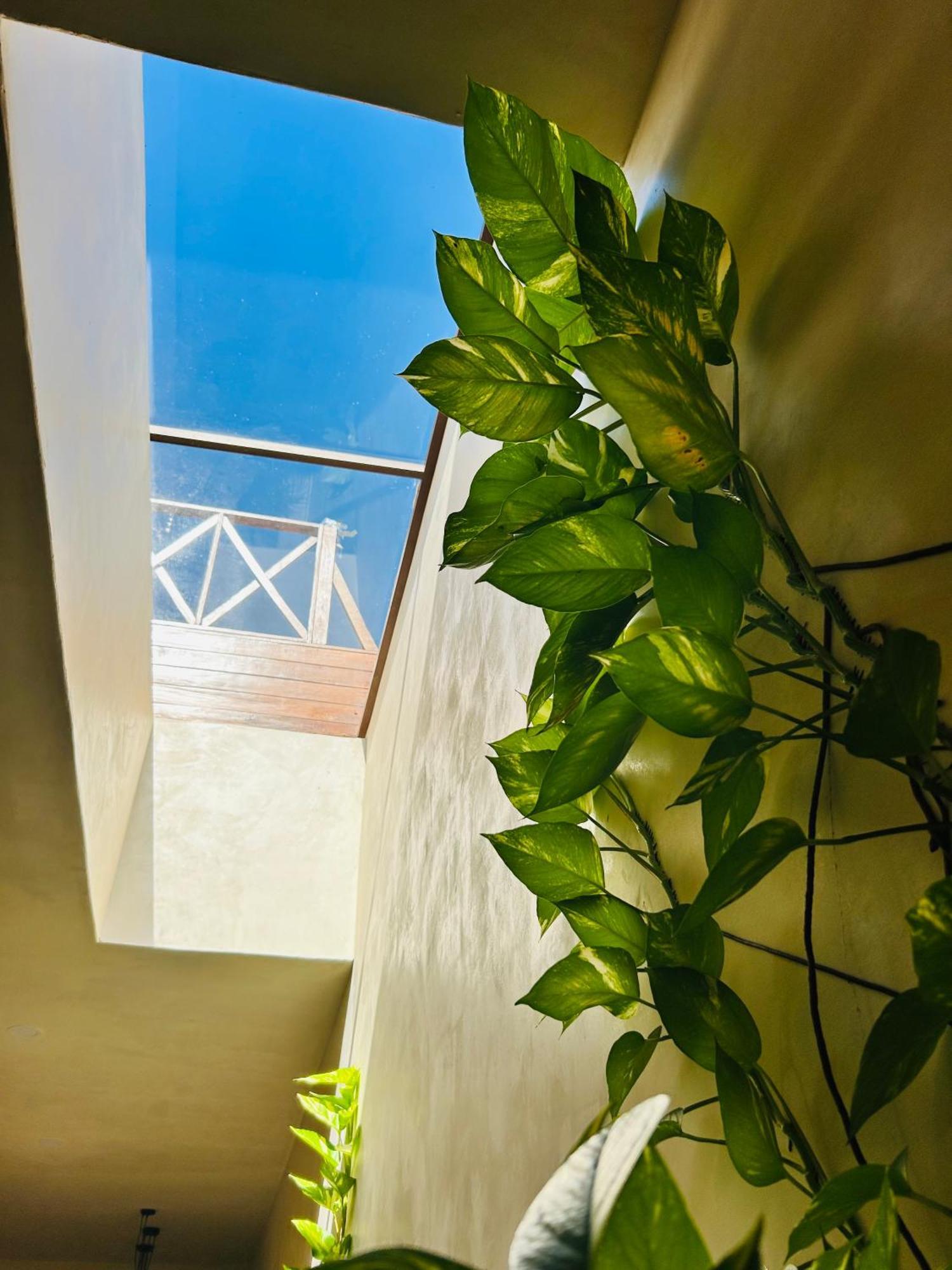 شقة Sunsteps Casa Holbox المظهر الخارجي الصورة